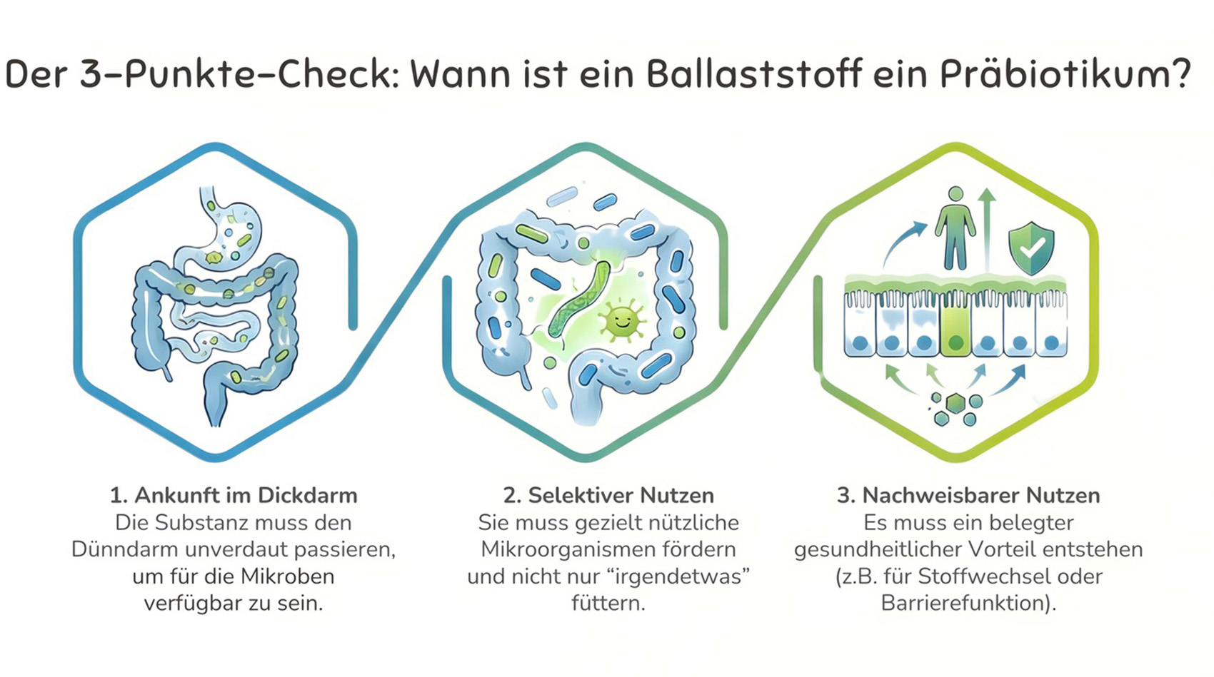 Infografik mit dem Titel &bdquo;Der 3-Punkte-Check: Wann ist ein Ballaststoff ein Pr&auml;biotikum?&ldquo;. Sie beschreibt drei Bedingungen: 1. Ankunft im Dickdarm (passiert den D&uuml;nndarm unverdaut), 2. Selektiver Nutzen (f&ouml;rdert gezielt n&uuml;tzliche Mikroorganismen) und 3. Nachweisbarer Nutzen (belegter gesundheitlicher Vorteil).
