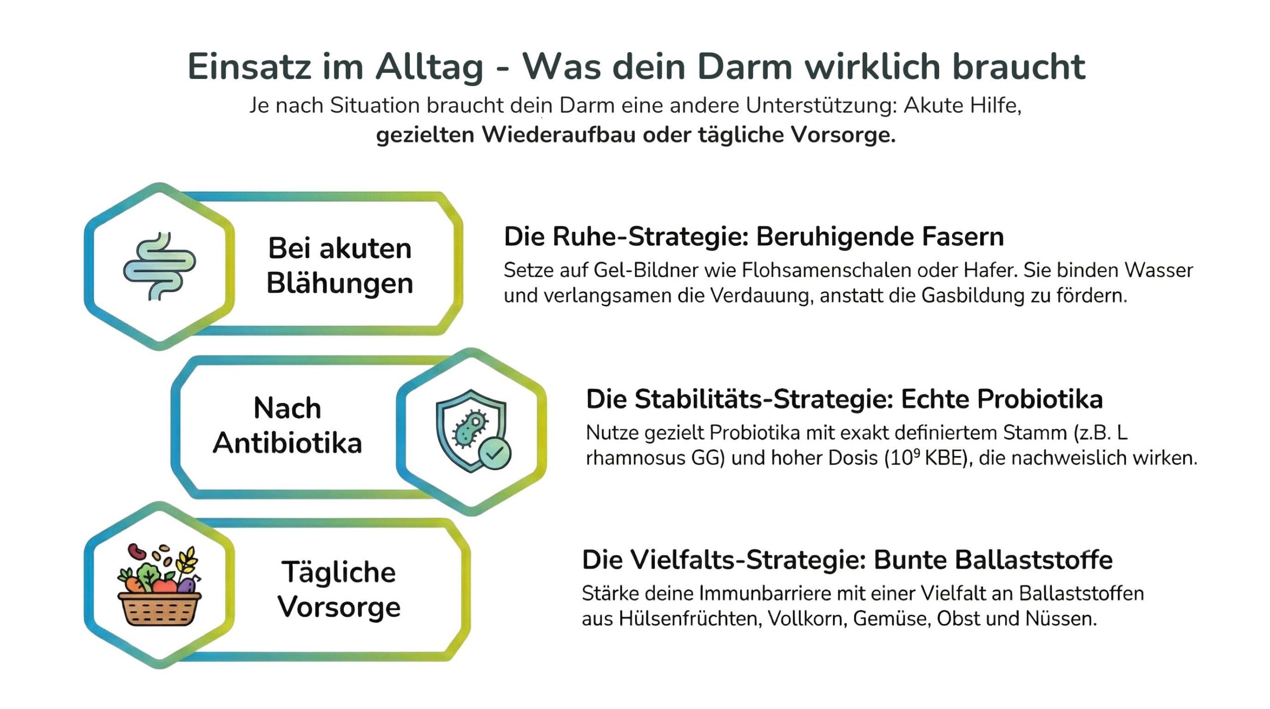 Infografik mit dem Titel &bdquo;Einsatz im Alltag &ndash; Ballaststoffe, Pr&auml;biotika & Probiotika richtig nutzen&ldquo;. Sie unterteilt die Anwendung in drei Szenarien: