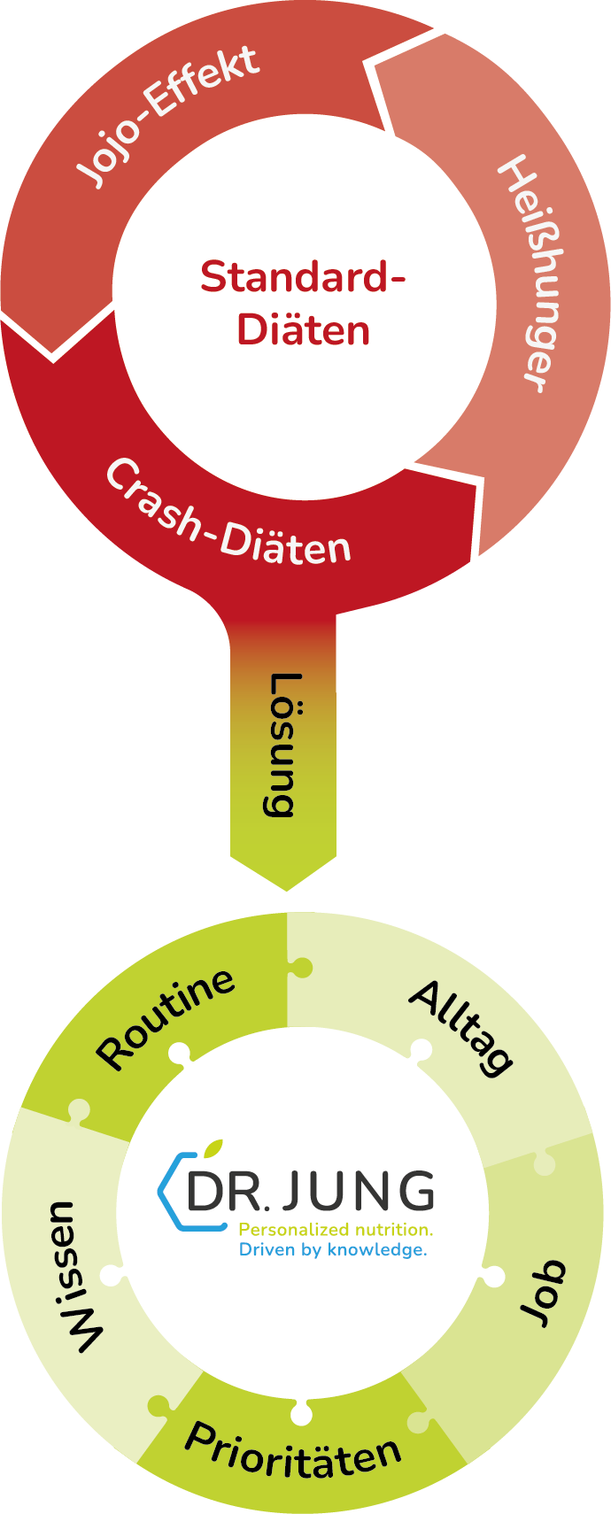 Grafik zum Teufelskreis bei der Gewichtsabnahme für berufstätige Frauen